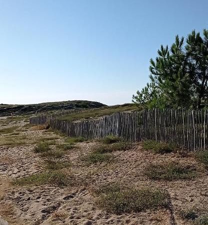 Appartement Spacieux Verdon Sur Mer Le Verdon-sur-Mer Εξωτερικό φωτογραφία