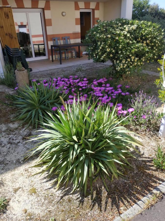 Appartement Spacieux Verdon Sur Mer Le Verdon-sur-Mer Εξωτερικό φωτογραφία